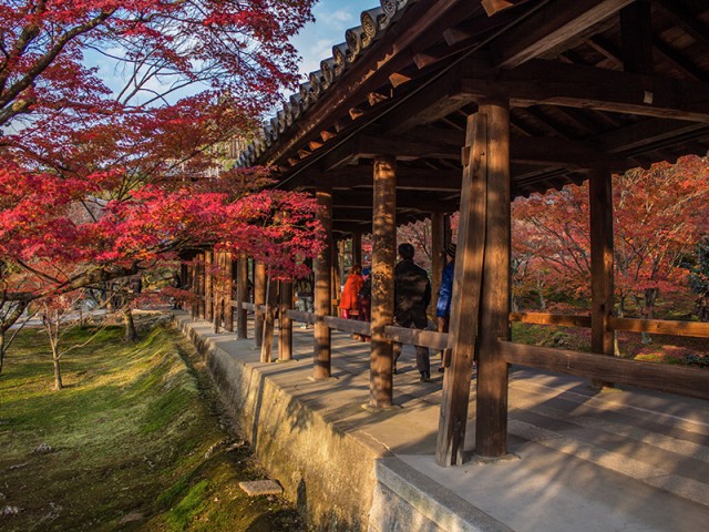 Temple Tofuku-ji