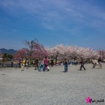 Parc Arashiyama