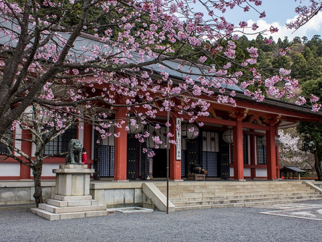 Temple Kurama-dera